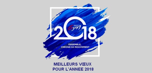 Bonne année 2018