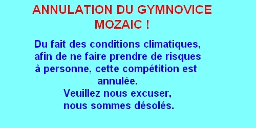 Gymnovice et Mozaïc-gym le 4 décembre à Bellegarde (MAJ 30/11)