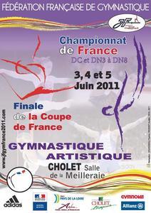 Championnat de France DN 3 à 8 et DC GAM GAF à Cholet Les résultats