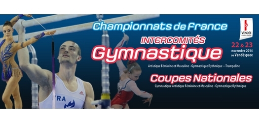 Interco et coupes nationales 22 23 novembre 2014 : Des podiums !