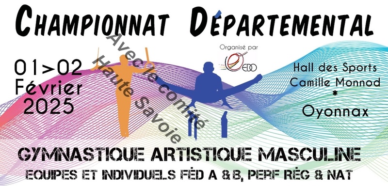 Championnat départemental équipes et individuels GAM Fed A et B perf Nationales et Régionales MAJ le 23 janvier