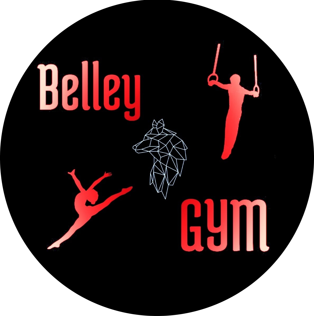 Belley: Belley Gym