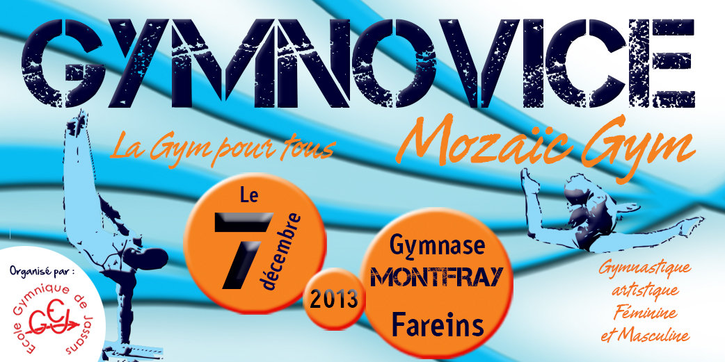 Gymnovice 2013 à Jassans/Fareins Résultats